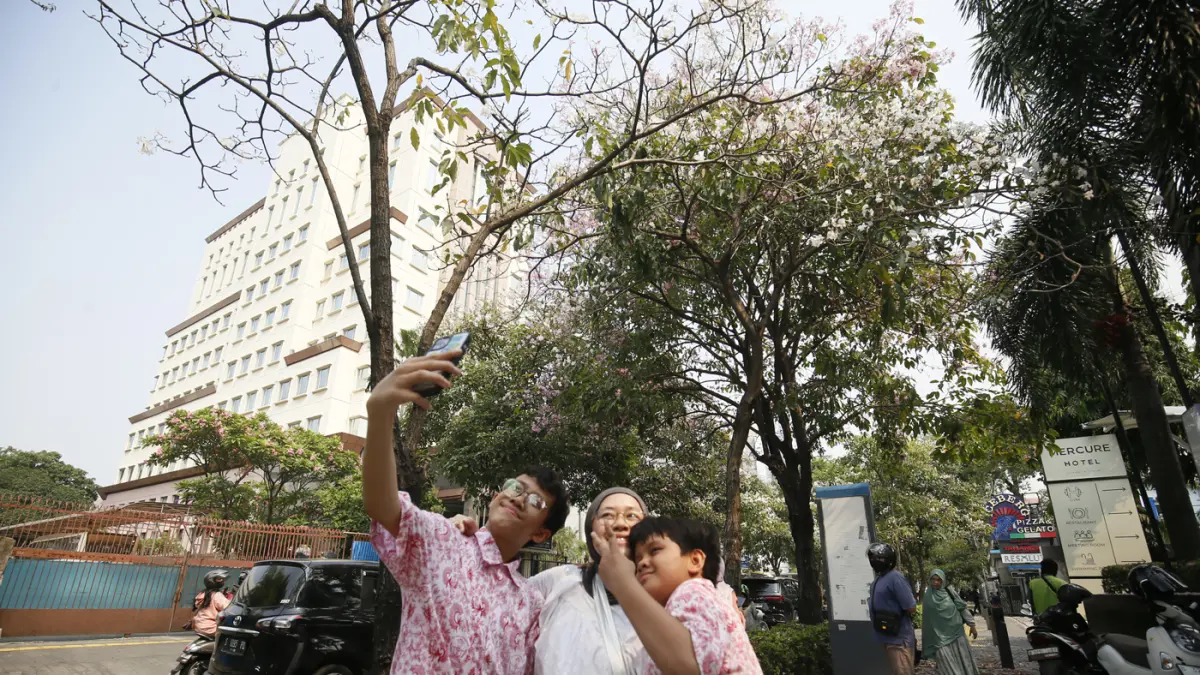Warga berfoto di dekat pohon dengan bunga tabebuya yang mekar di Jalan Cikini Raya. (Dery Ridwansah/ JawaPos.com)