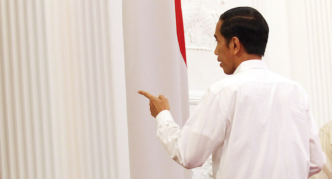 Photo - Image