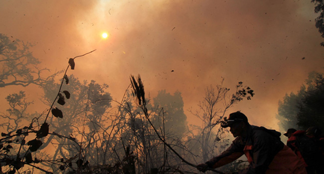 KEBAKARAN: Sejumlah petugas gabungan berupaya memadamkan api yang menjalar di kawasan blok Tatal, Resort Gunung Penanjakan, Taman Nasional Bromo Tengger, Pasuruan, Jawa Timur, Jumat (18/9) sore. - Image
