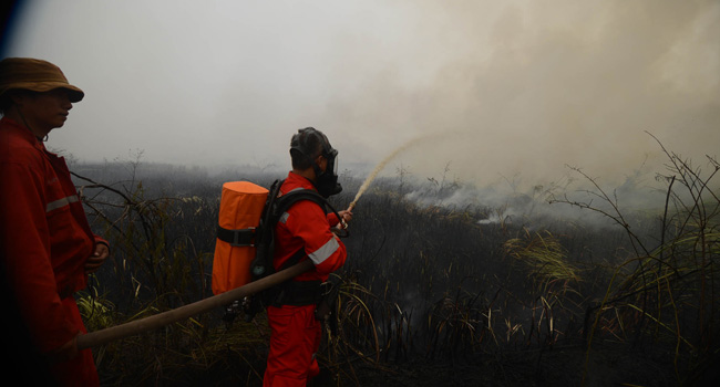 KEBAKARAN: Ratusan hektare melanda lahan gambut di Desa Teluk Kecapi, Kecamatan Pemulutan, Kota Palembang, Sumatera Selatan, terbakar. - Image