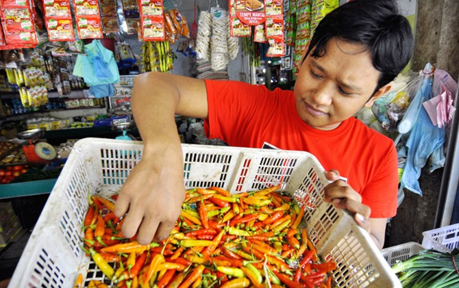 Pedagang sayur Pasar Mitra Raya, Batamcenter, Aji Pratama memilih cabai rawit merah yang akan dijual dengan harga Rp 120 ribu per kg. - Image