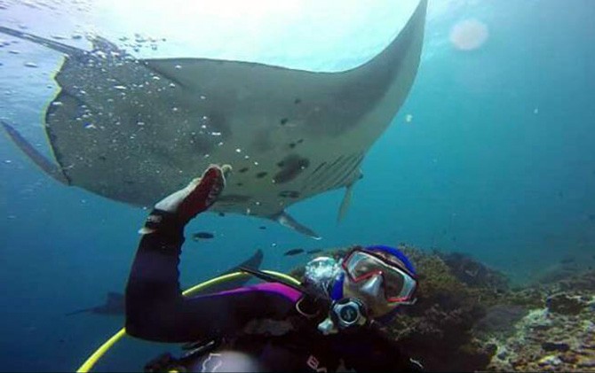 Dr Dwi Rini Indradjajati berfose di dekat ikan pari manta saat menyelam beberapa waktu lalu. - Image