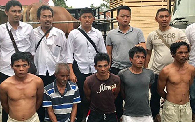 Komplotan pencuri ternak yang resahkan warga akhirnya diringkus Polres Merangin - Image