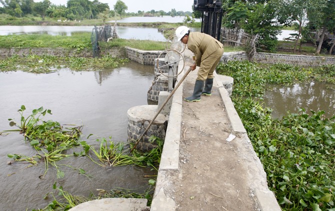 PERLU REVITALISASI: Kepala Dinas PUPR Sidoarjo Sigit Setyawan kemarin melakukan inspeksi ke dam Golondoro, Jabon, yang jebol karena luberan air. - Image