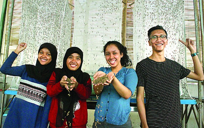 LEBIH EFEKTIF: Dari kiri, Tina K., Teguh Rahayu, Audinisa, dan Sirajuddin Kurniawan memamerkan pelet ikan hasil ternak belatung BSF. - Image