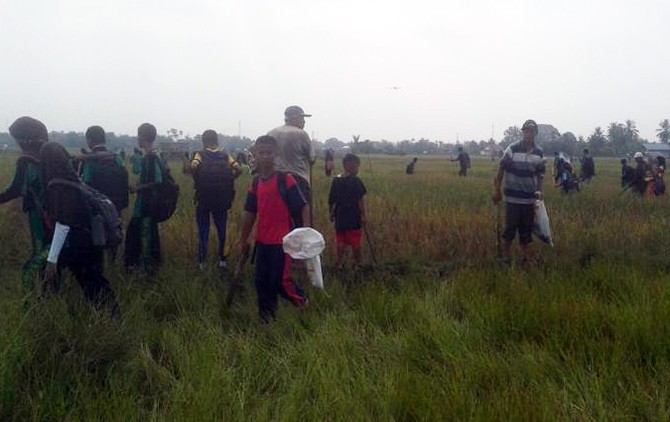 Ratusan pelajar dan petani di Desa Tanjung Jati, Lubuk Empelas, dan Muara Lawai berlomba tangkap tikus sebanyak-banyaknya. - Image