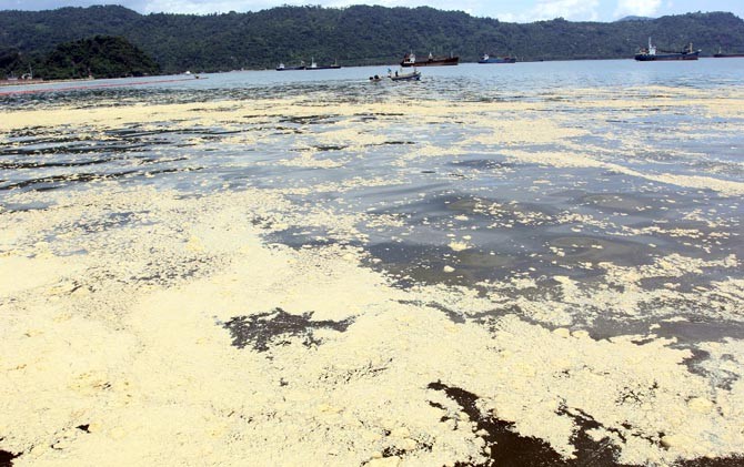 Tumpahan puluhan ton CPO di kawasan Teluk Bayur membuat laut jadi tercemar - Image