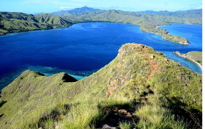TAMAN NASIONAL: Pulau Komodo. - Image