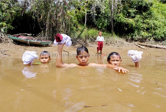Photo - Image