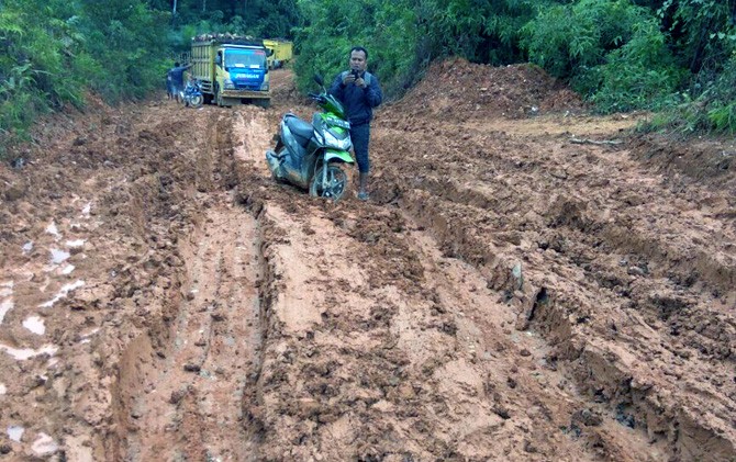 Jalan lintas Desa Tanjung Mas, Kampar tak bisa dilintasi - Image