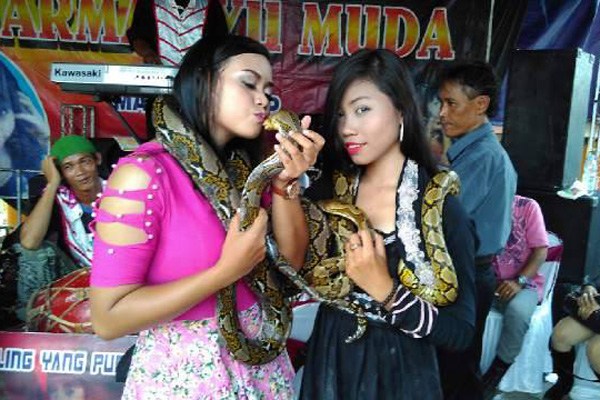 Nita Amarta, Ikuti Jejak Sang Kakak Menyanyi Bersama Ular - Image