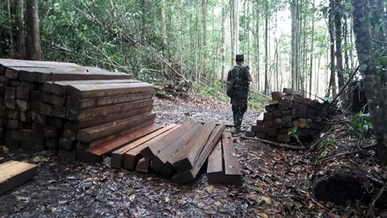 PEMBALAKAN LIAR. TNI AD dan TDM bersama-sama mengecek lokasi pembalakan liar yang dilakukan warga Malaysia, belum lama ini. - Image