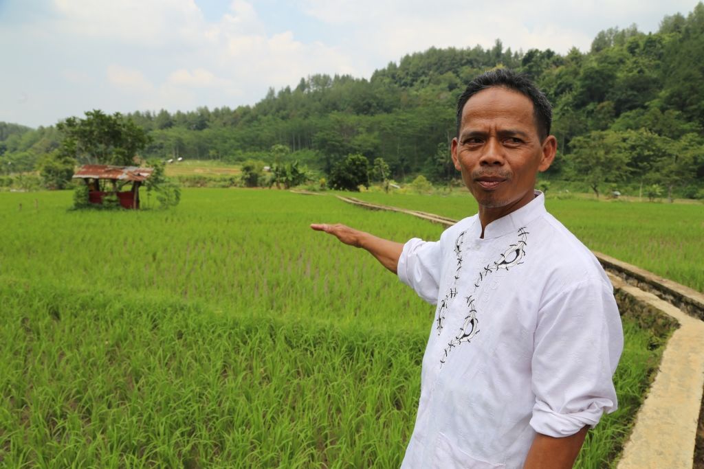 Samrozi, petani di Desa Tajur, Kecamatan Kandangserang, Kabupaten Pekalongan. - Image