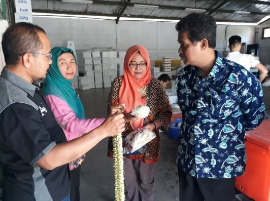 Dirjen Hortikultura, Suwandi (kanan) ketika meninjau salah satu pembudidaya tanaman melati di Tegal, Jawa Tengah, kemarin. - Image