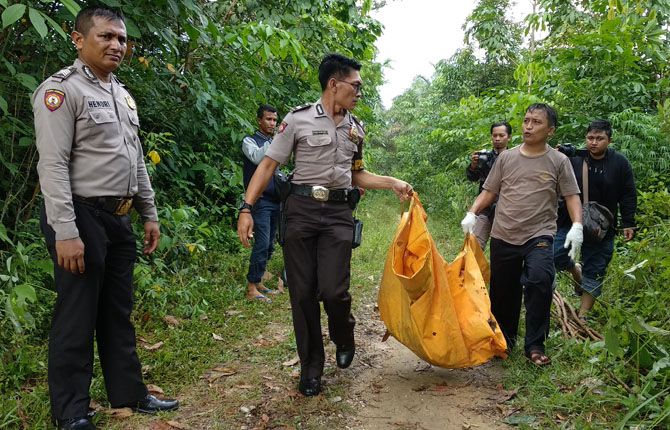 EVAKUASI: Polisi sedang mengevakuasi tengkorak manusia ditemukan di semak belukar seberang Stadion Utama Riau, Jalan Naga Sakti, Kecamatan Tampan, Pekanbaru, Sabtu (27/10) siang. - Image