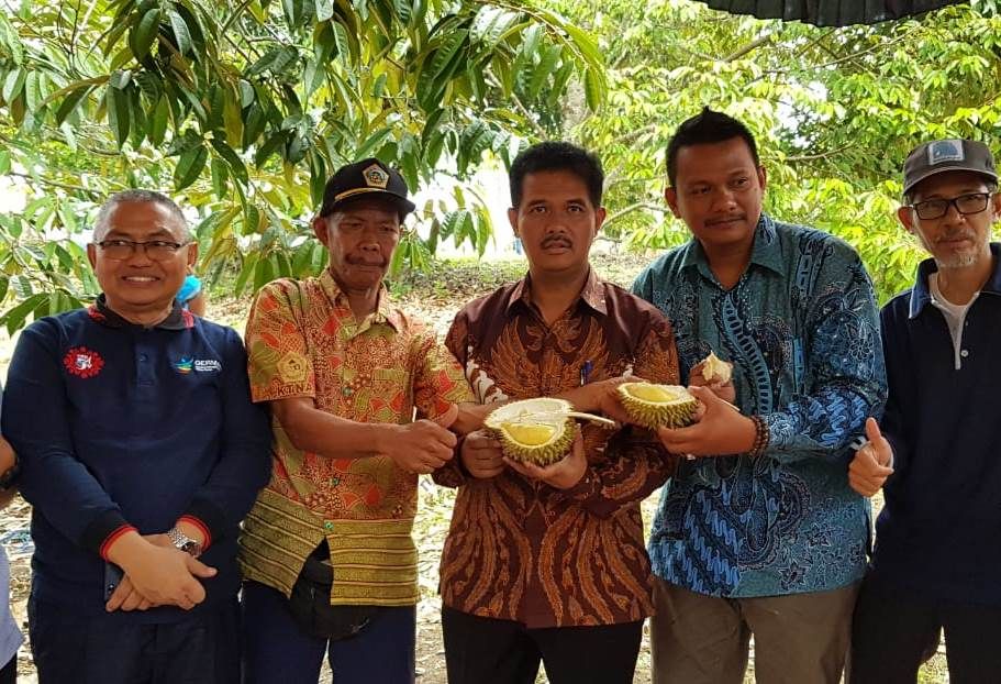 Dirjen Hortikultura Kementan, Suwandi (tengah) memamerkan durian lokal saat fesvital durian di Solok, Sumtera Utara. - Image
