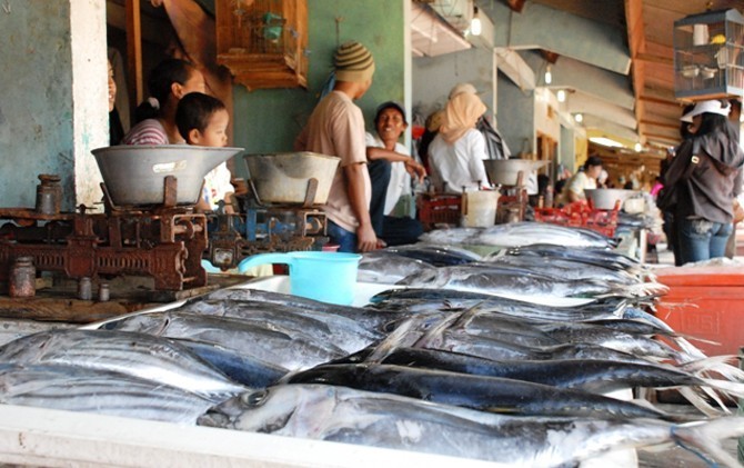 ILUSTRASI Kinerja ekspor ikan menuju sejumlah negara diprediksi mengalami lonjakan berarti. Hal ini menyusul banyaknya aksi pencurian ikan atau illegal fishing yang berhasil dicegah. - Image