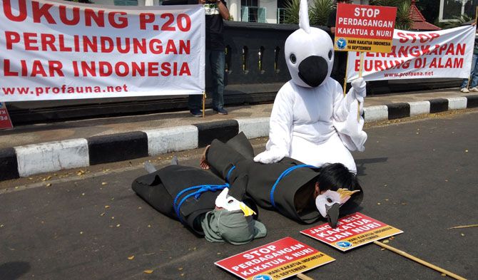 KAMPANYE: Organisasi PROFAUNA saat menggelar aksi kampanye untuk memperingati Hari Kakatua Indonesia (HKI) di depan Balai Kota Malang, Jumat (14/9). - Image