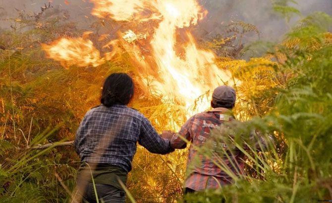 ILUSTRASI: Kawasan hutan dan lahan Gunung Sumbing yang berada di wilayah Kabupaten Magelang dilalap api sejak Senin (11/9) sore. - Image
