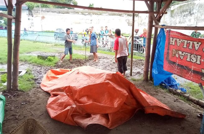 KERBAU KERATON: Sejumlah pekerja tengah menyiapkan tempat pemakaman untuk kerbau bule Kiai Joko. - Image