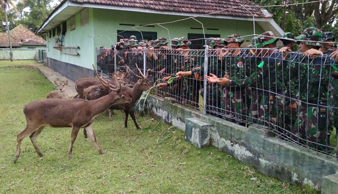 TERTARIK: Para peserta KBP 2018 memberi makan rusa. - Image