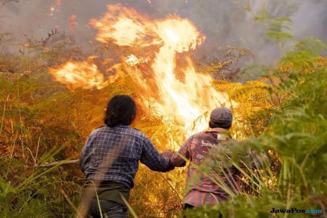 ILUSTRASI: Kawasan Gunung Merbabu kembali terbakar. Api mulai terlihat pada Minggu (14/10) sekitar pukul 10.00 WIB. - Image