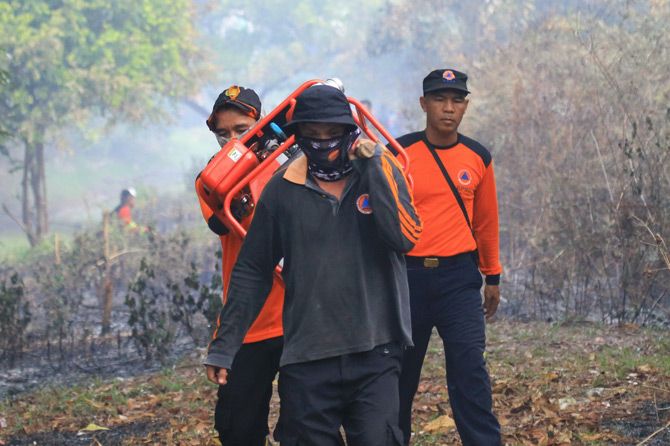 Ilustrasi: petugas BNPB dan BPBD melakukan pemadaman di lokasi kebakaran hutan dan lahan (karhutla) wilayah Kalteng. - Image
