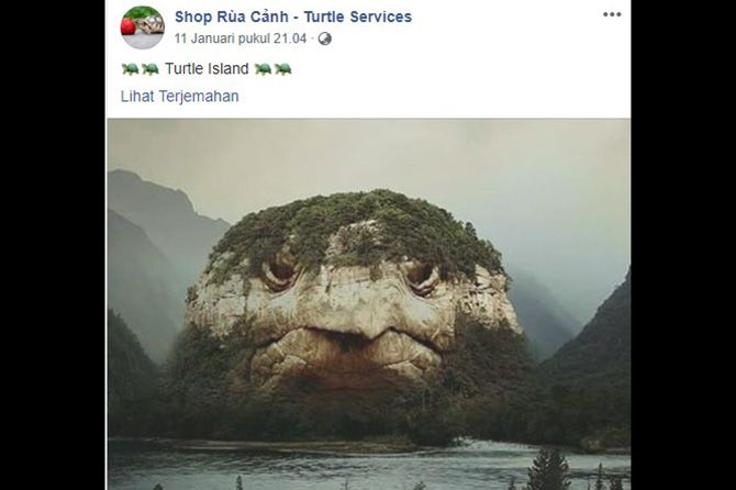 Hoax: Pulau Kura-kura editan yang viral - Image