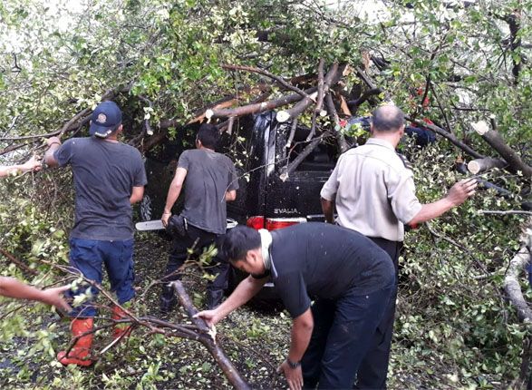 EVAKUASI: Sejumlah petugas dan warga melakukan evakuasi mobil yang terjebak di reruntuhan pohon. - Image