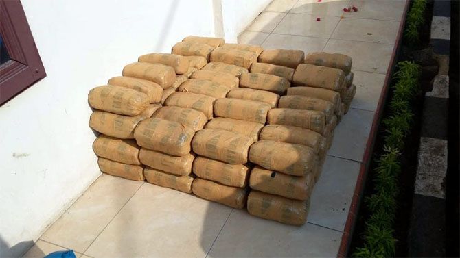 KURIR NARKOBA: Dua warga Cirebon tertangkap membawa ganja kering 220 kilogram sewaktu razia perbatasan, Sabtu (26/1). - Image