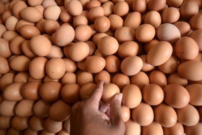 Ilustrasi pedagang telur di pasar tradisonal yang harganya sempat melambung beberapa pekan lalu - Image