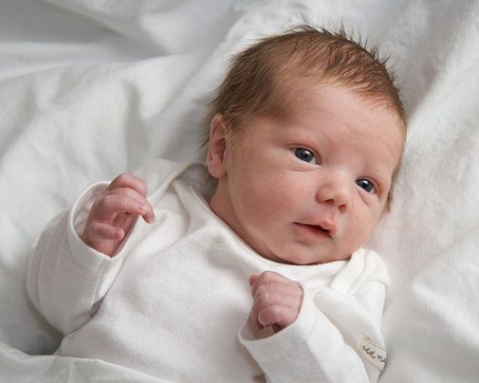 Seorang bayi di Selandia Baru telah selamat setelah mengapung di laut. Bayi tersebut ditemukan setelah ia melewati seorang nelayan bernama Gus Hutt - Image