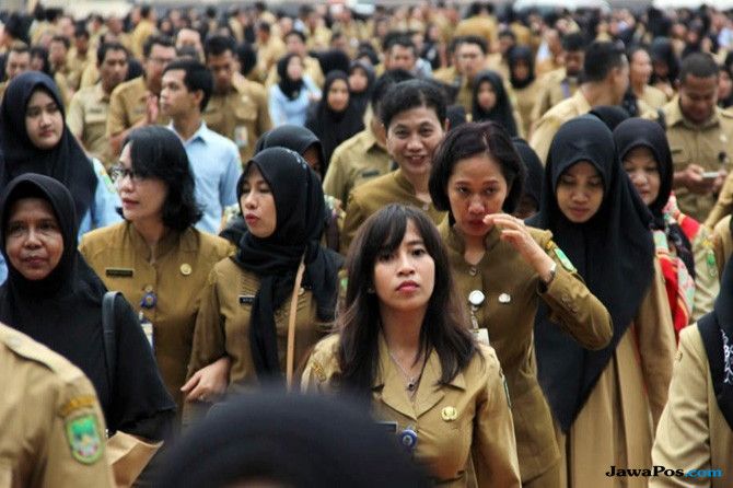 Ilustrasi PNS. Tingkat kelulusan hasil TKD CPNS 2018 di Wilayah Timur diketahui paling rendah - Image