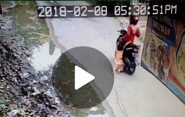 Video seorang ibu menyeret anak perempuan dengan sepeda motor viral di media sosial - Image