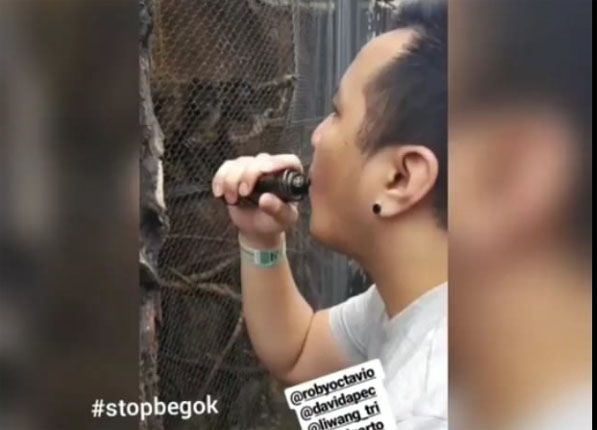 Potongan video saat seorang pengunjung meniupkan asap vape ke seekor monyet. - Image