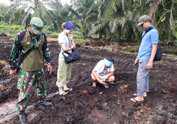 Tim patroli sedang melakukan pengecekan tapak kaki harimau Sumatera yang ada di areal perkebunan sawit PT THIP, Kecamatan Pelangiran, Kabupaten Inhil, Riau pada Selasa (9/4). - Image