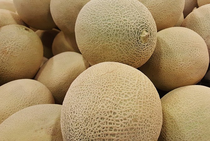 Warga dihimbau waspada Rock Melon yang tercemar bakteri Listeria - Image