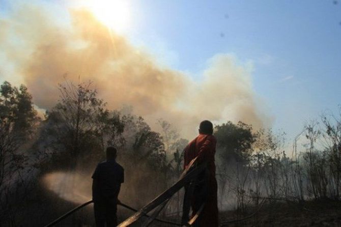 ILUSTRASI: Pemerintah Provinsi (Pemprov) Riau akan mendirikan posko siaga kebakaran hutan dan lahan (Karhutla) di masing-masing kabupaten/kota. - Image