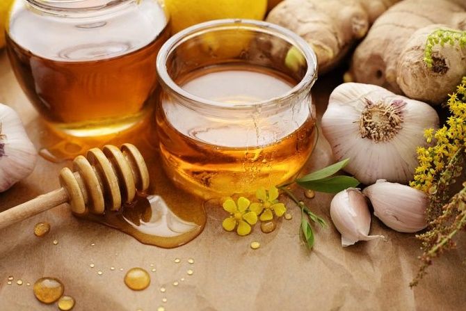 Madu dan bawang putih telah lama dikenal memiliki manfaat bagi kesehatan tubuh. - Image