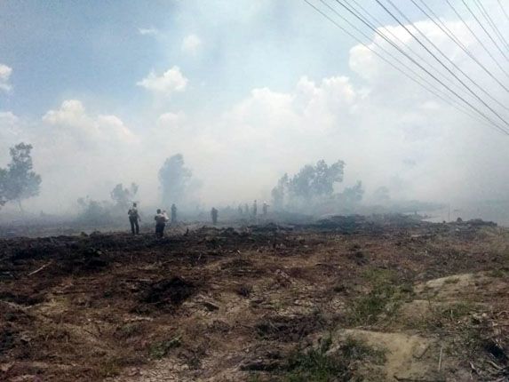 Kebakaran lahan dan hutan (Karhutla) yang terjadi lahan konsesi milik PT Chevron Pasific Indonesia (CPI) di Kota Dumai, Riau, Selasa (26/2). - Image