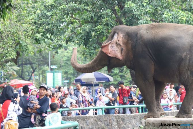 Ribuan orang memadati kawasan Taman Margasatwa Ragunan, Jakarta Selatan. - Image