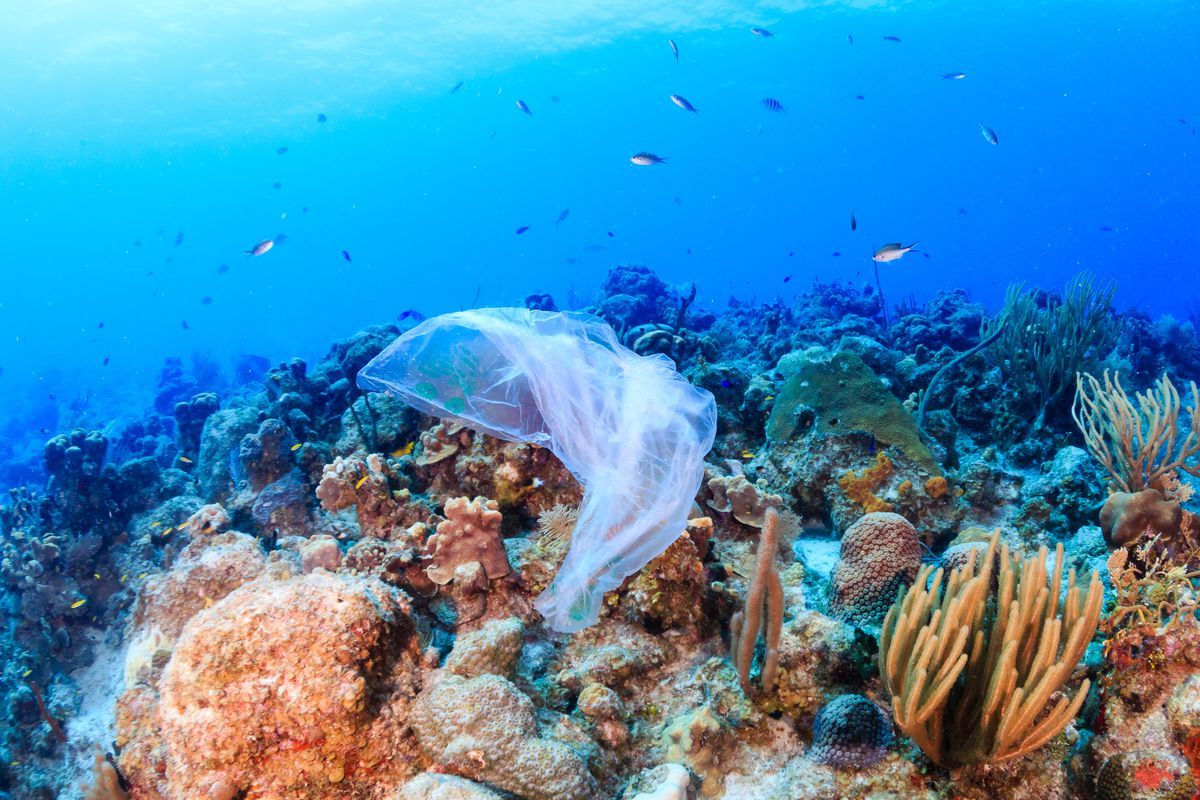 Parlemen Eropa dengan mayoritas besar hari Rabu (27/3) memutuskan larangan alat-alat plastik sekali pakai dan pembatasan sampah plastik melalui daur ulang - Image