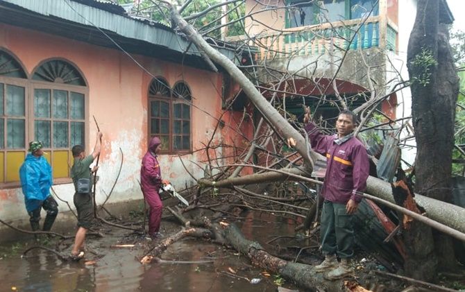 Hujan deras disertai angin mengakibatkan sejumlah pohon tumbang di Kota Padang, Selasa (5/3). - Image