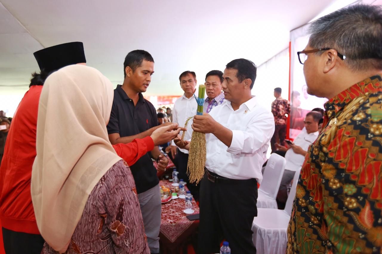 Menteri Pertanian Amran Sulaiman saat berbincang dengan petani di Cirebon, Jawa Barat. - Image