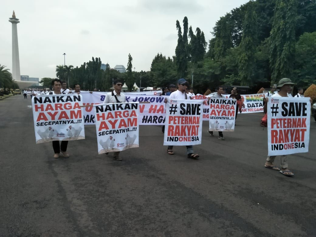 Aksi unjuk rasa yang dilakukan para peternak ayam di Monas - Image
