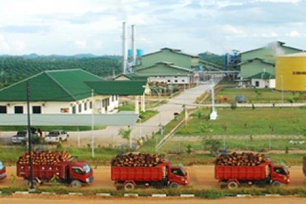 Astra Agro Lestari Bagi Untung Rp 648 Miliar (Istimewa) - Image