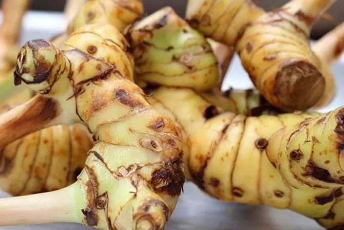 Lengkuas dipercaya sebagai obat berbagai penyakit. (natural food) - Image