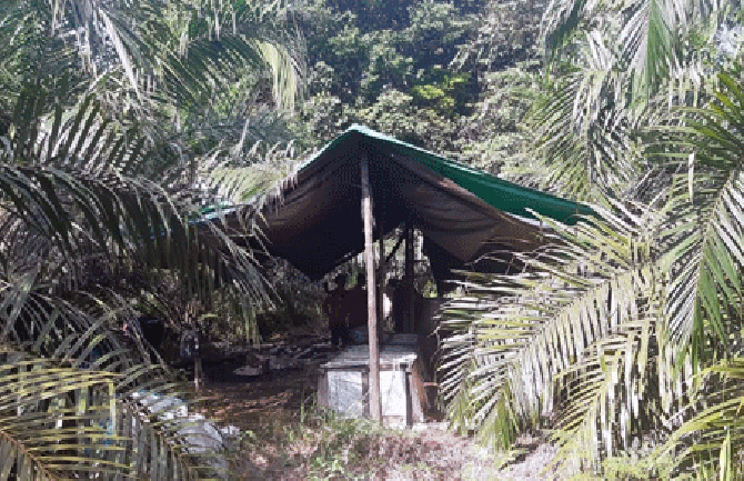 Satpol PP dan Damkar saat menggerebek pabrik miras di Desa Sungai Kuning, Kecamatan Pangkalan Banteng, Kobar, Senin (8/7).(Satpol PP for Radar Pangkalan Bun/Prokal/JPG) - Image