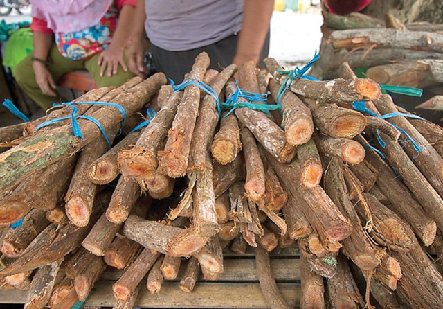 BUKAN KAYU BIASA: Dua pekan terakhir, banyak penjual kayu tanaman bajakah dadakan yang menggelar dagangan di pasar-pasar tradisional dan jalan-jalan Kota Palangka Raya (21/8). (Denar/Kalteng Pos) - Image