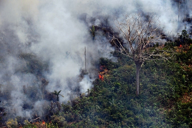 Kebakaran hutan Amazon - AFP - Image
